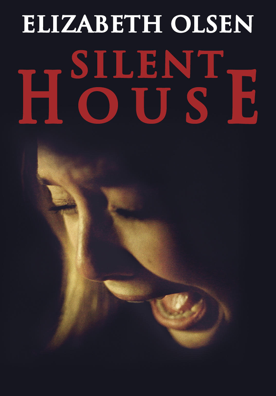 Silent house прохождение